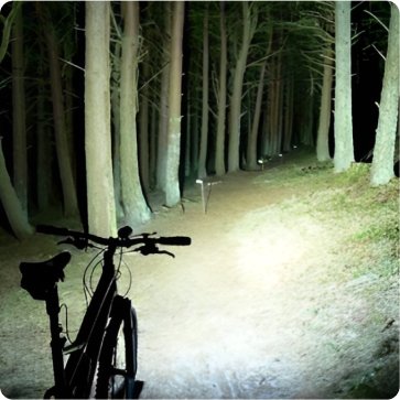 VitalTac Flashlight on trail